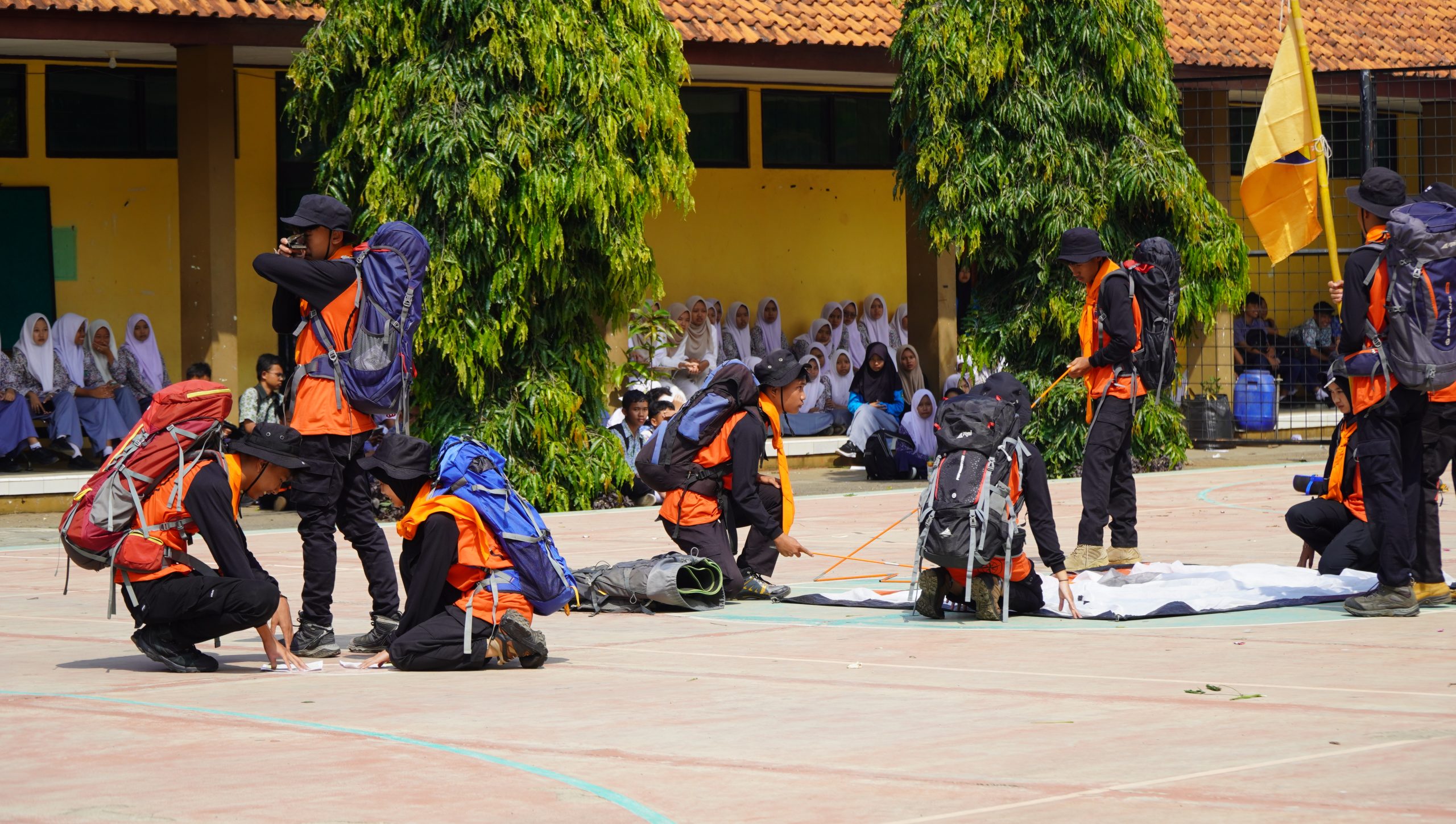 DSC01533 DSC01533