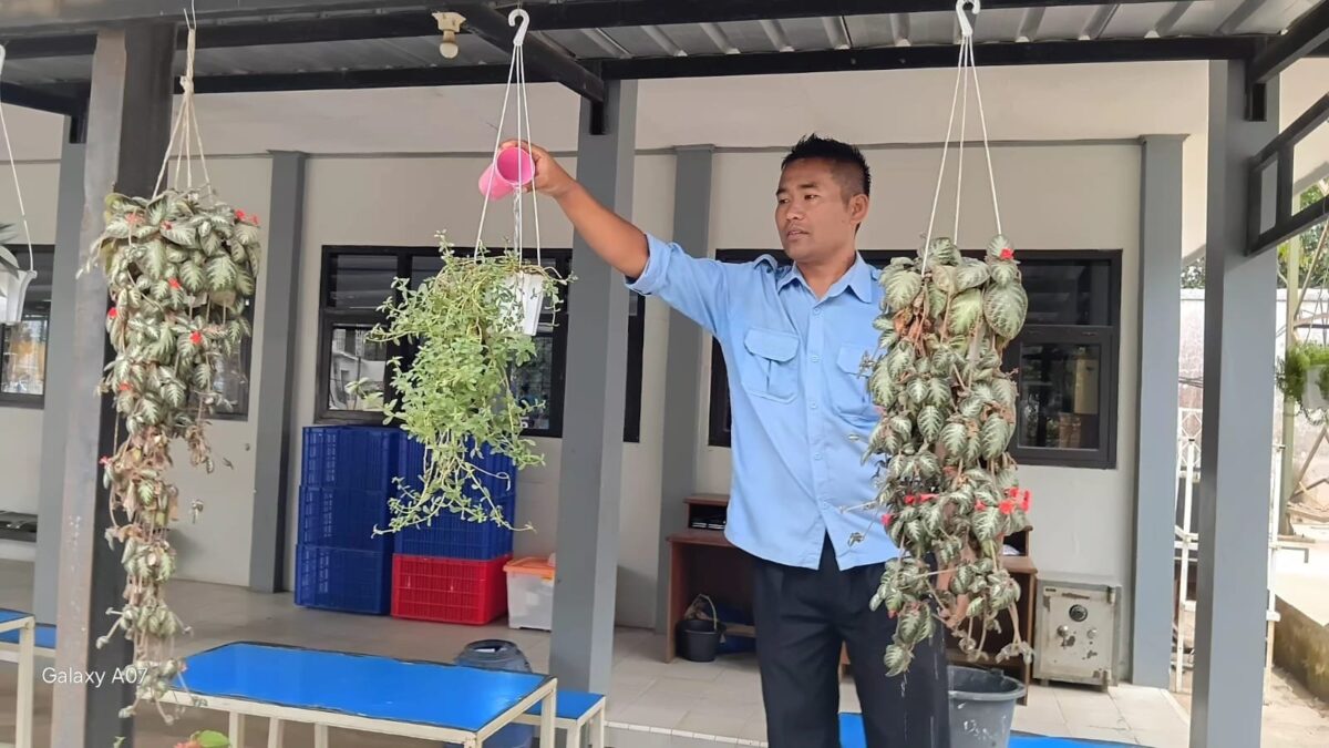 Menjaga Lingkungan Madrasah, Yana Patriana Konsisten Merawat Tanaman Area Laboratorium MAN 1 Majalengka