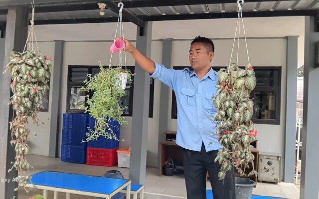 Menjaga Lingkungan Madrasah, Yana Patriana Konsisten Merawat Tanaman Area Laboratorium MAN 1 Majalengka